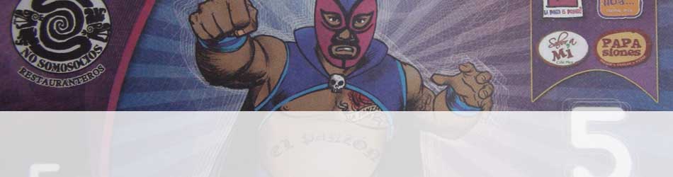 panzon-banner