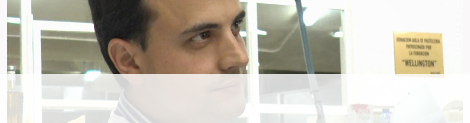 banner_1