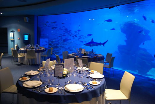 Cenar entre tiburones… ¿te atreves?
