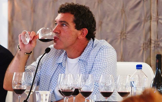 Bodegas y famosos