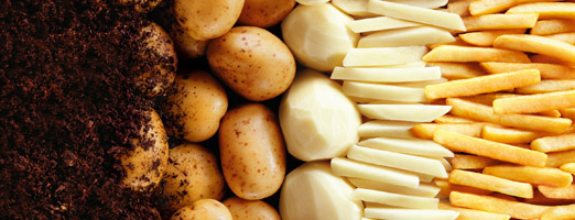patatas-text
