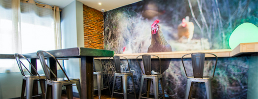 pollo arola