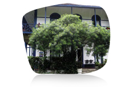 roca-sao-joao-home