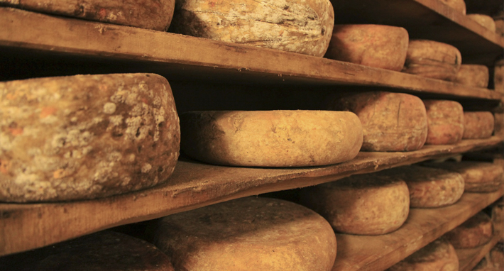 Oda al queso.