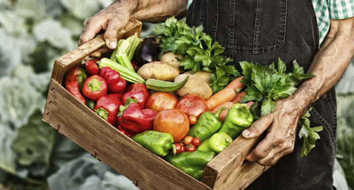 ¿Qué es el Slow Food?