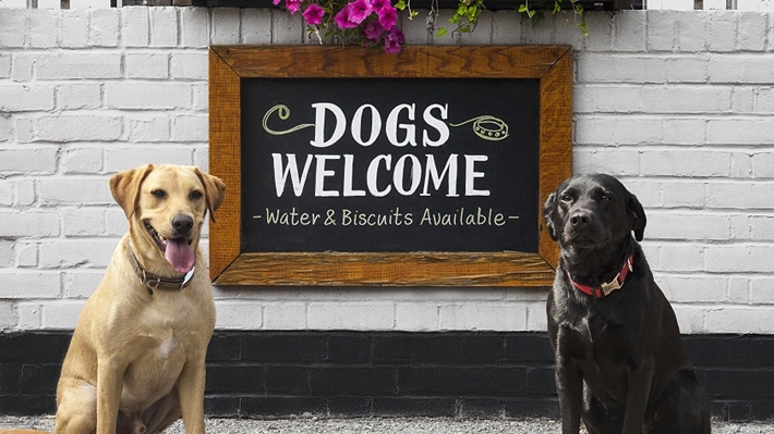 pet friendly ok
