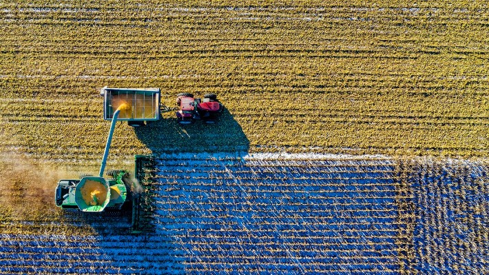 ¿Cuáles son las principales dificultades de los proveedores de alimentación y bebidas?
